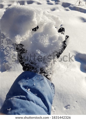 A girl in gloves holds pure white snow in her hand. High quality photo.