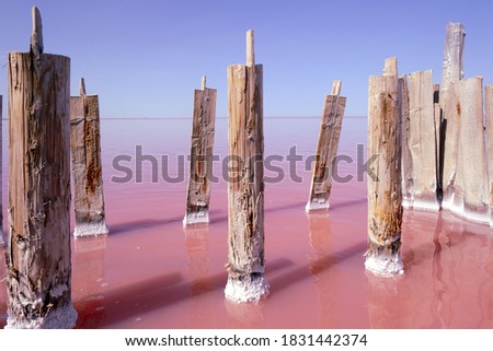Amazing real pink color salt lake. High quality photo Royalty-Free Stock Photo #1831442374