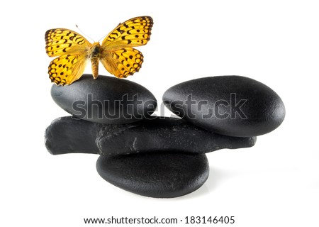 Zen stones balance concept with butterfly