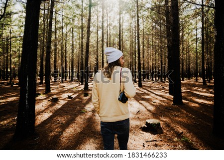 Caucasian male photographer walking through luscious woodlands 