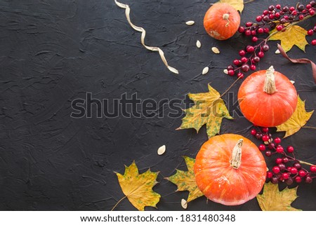 Nice view of pumpkin and autumn leaves. Creative atmospheric decoration