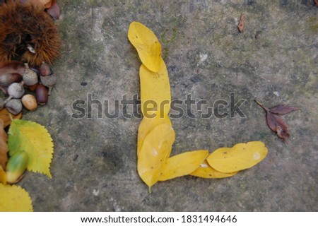Alphabet letters made with yellow autumn leaves to form the capitals on a stone background . The letter L is for leaf.