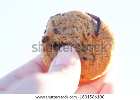 Delicious homemade chocolate chip cookie being held up by a caucasian person's hand with the thumb showing and the chocolate chips shiny and warm                               