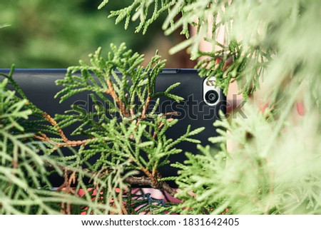 Camera of black mobile phone taking picture hiding through green fir tree branches in the forest. Concept