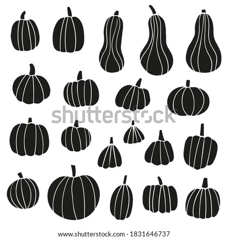 Pumpkin trendy monochrome  vector illustration. Doodle drawing black various shapes pumpkins. Thanksgiving and Halloween Elements.