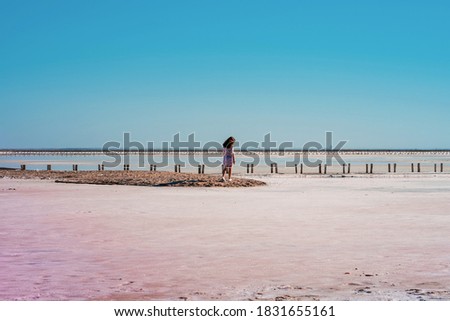 A  women in the distance in a panoramic picture of a pink lake with a high content of salt and algae that give rose water.