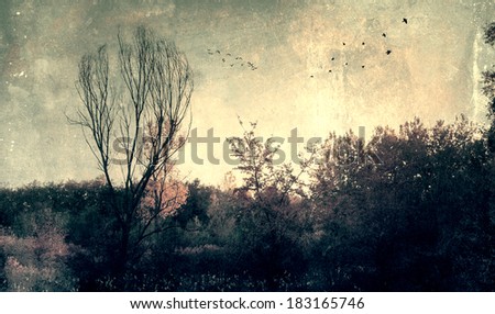 Grunge effected photo of spooky dark forest