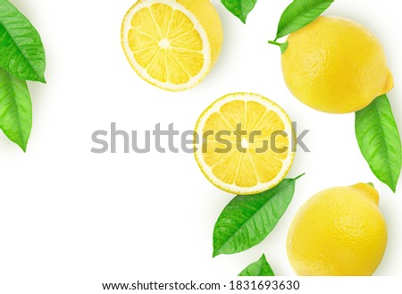 Composition with lemons and leaves on a white background. Clip art image for package design.