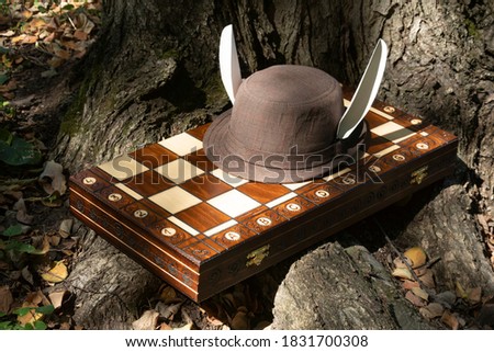  A hat with bunny ears on the chessboard.
