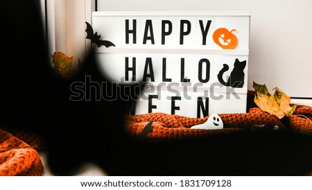 HAPPY HALLOWEEN. Text in white light box, with a background of sweater, dried leaves halloween autumn decoration on the windowsill. Rainy window. Ghost, pumpkins bat, black cat.