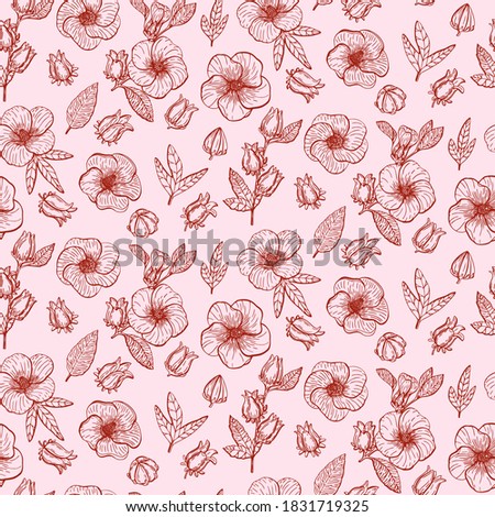 Pattern with Hibiscus Sabdariffa or Roselle flowers, leaves and berries, seeds. Graphic hand drawn engraving style. Botanical illustration for packaging, menu cards, posters, prints.