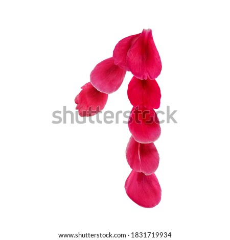 Creative number 1 made from bright pink flower petals isolated on white background. Decorative floral design element