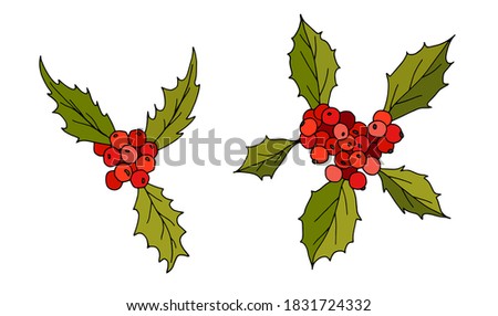 Holly berries on white isolated background. Illustration for the design of postcards and posters.