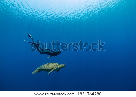 A female freediver is swimming with a sea turtle Royalty-Free Stock Photo #1831764280