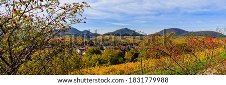 Yellow vineyards landscape in autumn, Rhineland-Palatinate, Germany. Deutsche Weinstrasse (German Wine Road) Vineyard Rural autumn landscape,  Palatinate region, banner