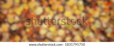 blurred leaves background, bokeh park landscape, autumn view in october