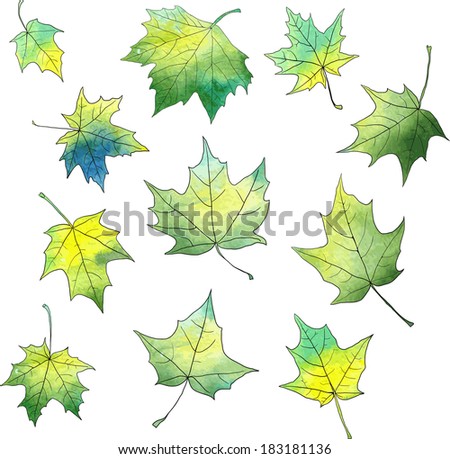 set of silhouettes of maple leaves in watercolor, vector illustration