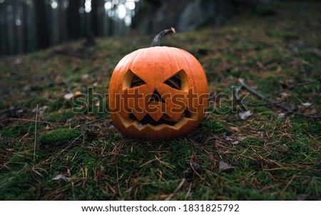 Halloween background. Scary pumpkin and spooky skull on forest. The main symbol of the Happy Halloween holiday. Orange pumpkin with smile for your design for the holiday Halloween. 
