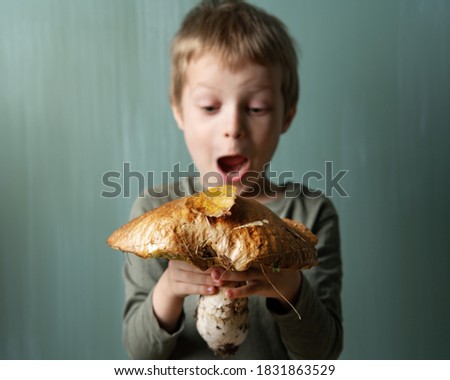 a little boy and very large mushroom. An incredible harvest. Selective focus