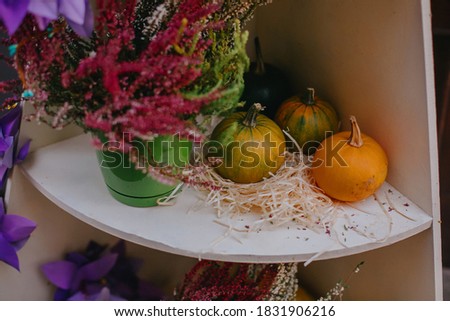 Pumpkins and autumn flowers, stylish festive decor of city street. Happy Thanksgiving. Halloween street decor