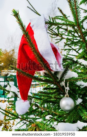 Red Santa Claus hat, Christmas tree branch and Christmas tree decoration. Traditional symbols of New Year and Christmas.