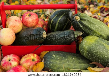 Autumn harvest. Thanksgiving day background.  Vegetables and fruits lying on the fallen leaves. Selective focus. Close up.