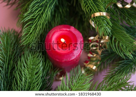 A red candle in the green branches of a fir tree. New year and Christmas