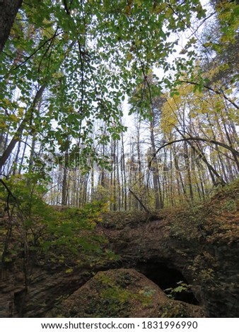 view from the karst sinkhole of the forest on an autumn day