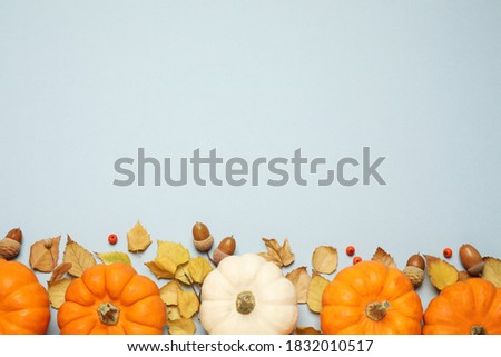 Different pumpkins, autumn leaves, berries and acorns on light blue background, flat lay. Space for text