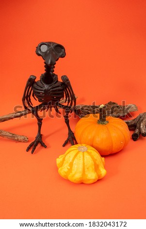 Raven skeleton, small pumpkins and branches on orange background. Halloween decoration