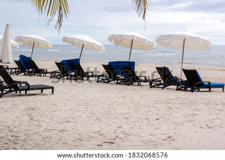 ์Many black bed beach with white umbrella for look sea view of Hua Hin relaxing ,which have coconut stays the front of picture . 