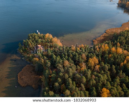 Coastline, forest and sea. Sunny day, Finland, Scandinavian nature. Autumn landscape, photo from above from a drone.