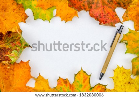 White sheet of paper, pen with autumn maple leaves with a copy of the space, top view. Beautiful autumn background for notes.