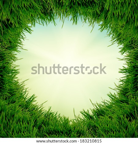 abstract natural background with fresh green grass