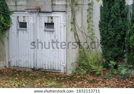 A yard with an old garage gate with a basketball cage above it. The garage is partly covered by ivy plants. The yard is covered by yellow leaves in autumn. The whole photo has a sullen   atmosphere. 