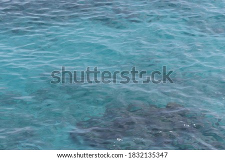 tropical ocean water rippling texture