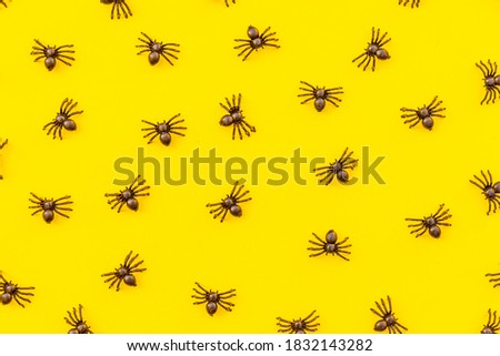 Halloween minimal decorations, composition with many black spiders isolated on yellow background. Halloween celebration trick or treat concept. Flat lay top view pattern