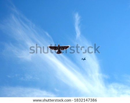 Flying bird in the sky and a plane in the background. A combination of a real photo with clipart