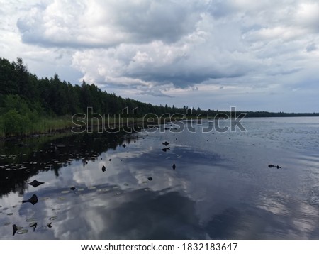 autumn landscape on the lake with  forest on the shore