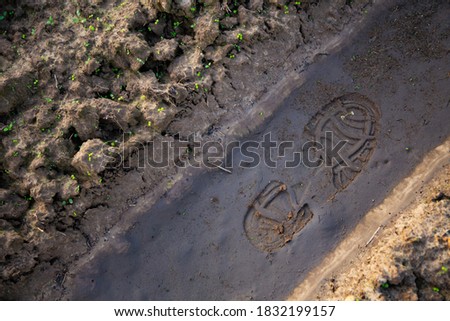 Imprint of the sole of the shoe on a muddy trail