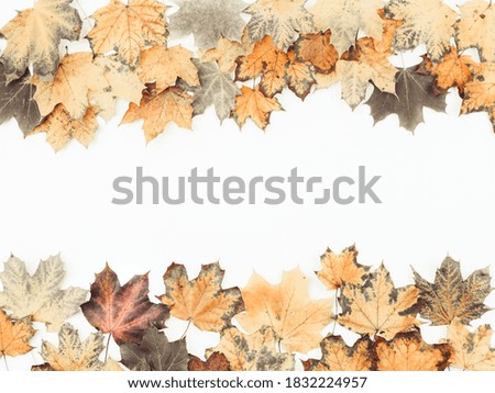 
Halloween frame made of autumn leaves on a white background with a place for text in the middle, top view.