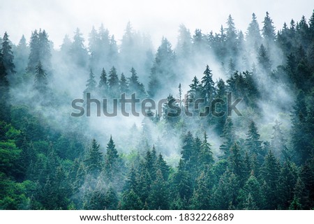 Misty foggy mountain landscape with fir forest and copyspace in vintage retro hipster style Royalty-Free Stock Photo #1832226889