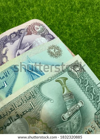 Money; United Arab Emirates dirham banknote on green grass background. -Business, investment and finance concept