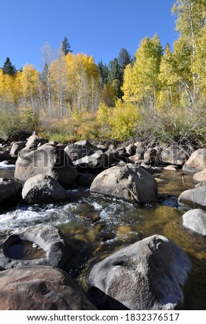 Vertical view of a river with big boulders and fall colors in the background on a bright sunny day