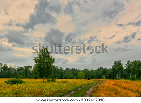 A scenic road that runs through meadows and along the forest. Countryside. Hiking.
