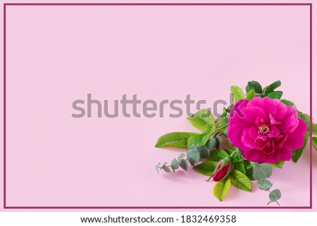 Beautiful pink rose with green eucalyptus  and place for your text on delicate paper background. 
Mother's Day Greeting Card.
 