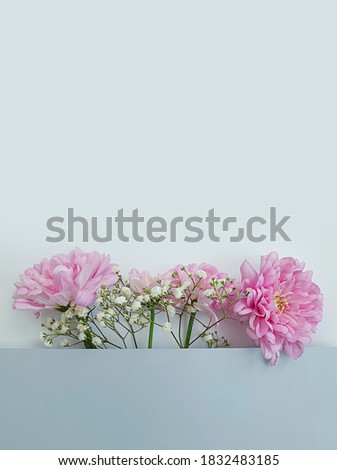 beautiful flowers composition on a colored background