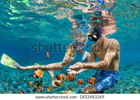 Happy family vacation. Young couple in snorkeling mask hold hand, dive underwater with fishes in coral reef sea pool. Travel lifestyle, watersport adventure, swim activity on summer beach holiday Royalty-Free Stock Photo #1832483269