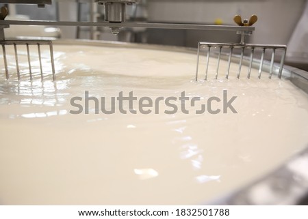 Milk in curd preparation tank at cheese factory, closeup Royalty-Free Stock Photo #1832501788