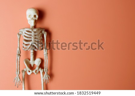Skeleton on an orange background. Halloween concept